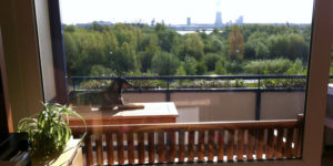 Sonnenanbeter ...