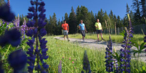Nordic Walking Parks in MV