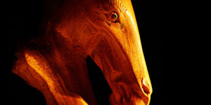 Holzpferd